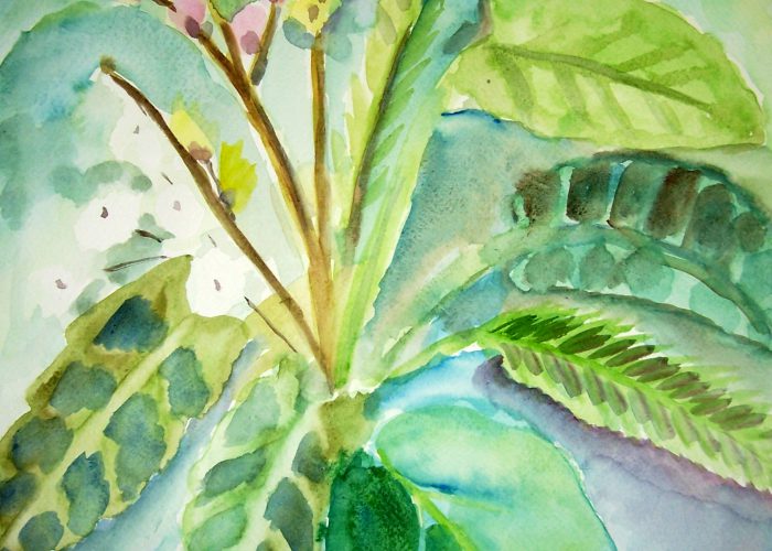 bloemen en planten aquarelverf